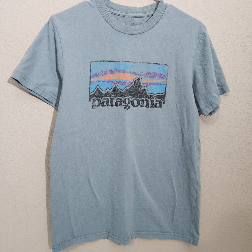 Patagonia Organic Cotton Mens Blue Graphic T-Shirt Size M